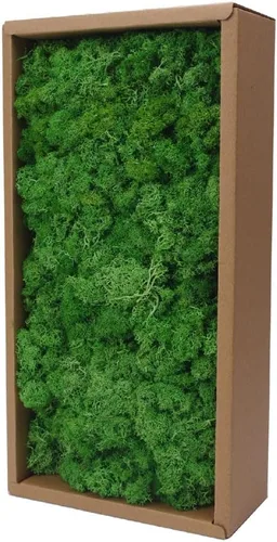 Miniatura 32 de Musgo preservado, musgo de 3.5 onzas para manualidades, decoración de musgo sintético, musgo verde natural para decoración de pared de floristería