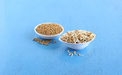 Miniatura 7 de Food to Live Semillas de fenogreco orgánicas, 1 libra, sin OMG, crudas, enteras, sin gluten, kosher, veganas, a granel, ricas en hierro, cobre