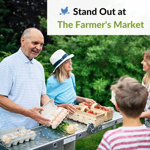 Miniatura 5 de Cartón de pulpa de papel plano en blanco de 12 huevos - Cartones de huevos (25)