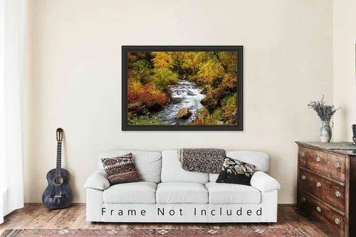Miniatura 5 de Black Hills Photography Print (Not Framed) Picture of Creek Surrounded by Fall Foliage on Autumn Day in Spearfish Canyon South Dakota Nature Wall