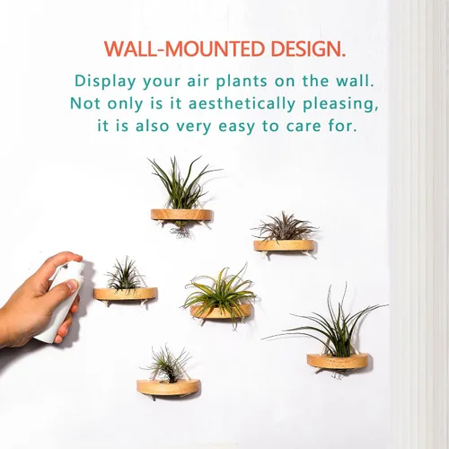 Miniatura 3 de soporte para plantas de aire, pequeño soporte de exhibición para plantas de aire. Montaje en pared para ahorrar espacio, decoración de pared.