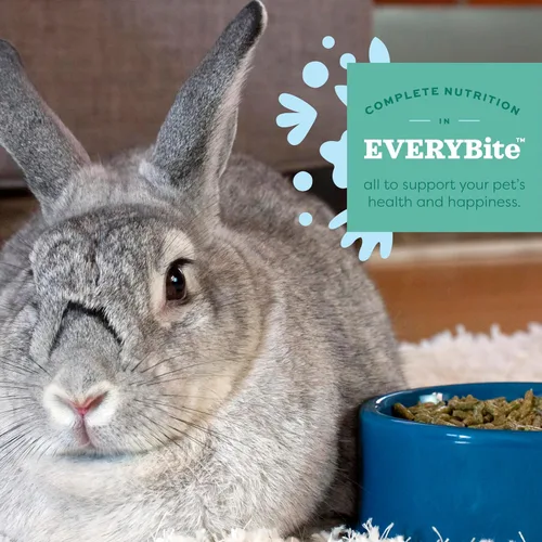 Miniatura 4 de Oxbow Essentials - Alimento para conejos, conejo joven, fabricado con Oxbow Timothy, pellets de comida para mascotas para conejos, productos