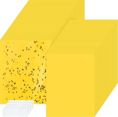 Qualirey 500 trampas adhesivas amarillas de 6 x 8 pulgadas para mosquitos, trampas adhesivas de doble cara para interiores y exteriores, atrapa