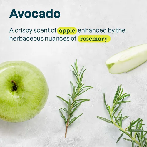 Miniatura 5 de ATTITUDE Desodorante sin bicarbonato de sodio para pieles sensibles con avena y aceite de aguacate, verificado por EWG, sin aluminio, sin plástico