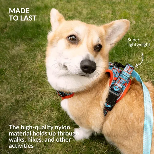 Miniatura 5 de CollarDirect Arnés reflectante sin tirones para perro, con asa y clip frontal, chaleco acolchado suave ajustable para perros pequeños a grandes