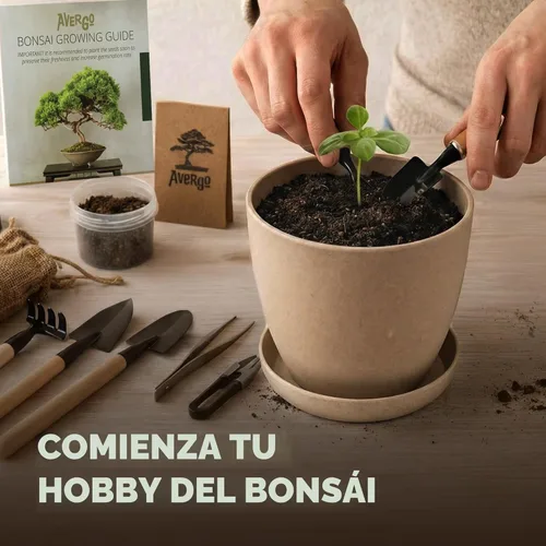 Miniatura 7 de Kit de inicio de Bonsái – Cultivo de Jacaranda Bonzai Kit completo de árbol interior para cultivar plantas con herramientas y maceta – Regalos