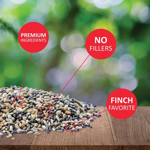 Miniatura 3 de Lyric Finch - Semilla pequeña de pájaro cantor silvestre – Atrae jilgueros, pinzones domésticos, pinzones morados y más – Bolsa de 20 libras &
