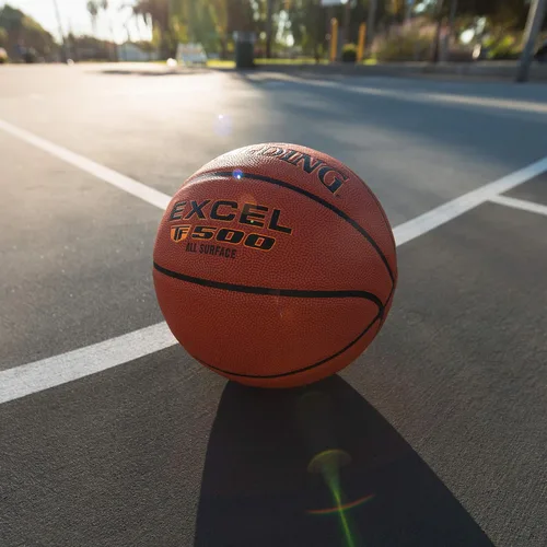Miniatura 7 de Spalding Excel TF500 Indoor-Outdoor Basketball