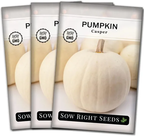 Miniatura 8 de Sow Right Seeds - Semillas de calabaza Casper para plantar - Paquete de reliquia sin OMG con instrucciones para plantar un huerto casero - Variedad