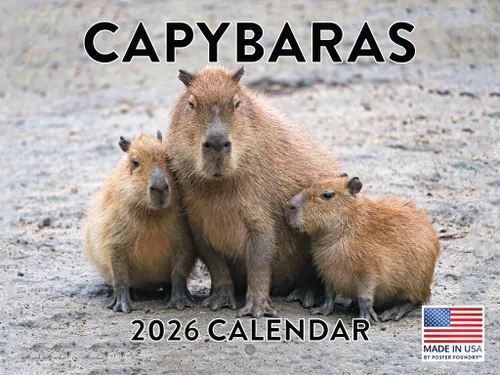 Miniatura 41 de Calendario alpaca 2026, calendario mensual de pared de 12 meses Hecho en Estados Unidos.