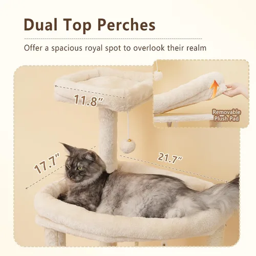 Miniatura 3 de Heybly Árbol para gatos resistente, torre de 64.2 pulgadas de alto para gatos grandes de interior con estructura ampliada, muebles para gatos