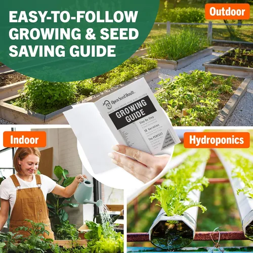 Miniatura 11 de Survival Gear, 15.000 semillas orgánicas Heirloom sin OMG, semillas para plantar verduras y frutas Comida de supervivencia para tu kit