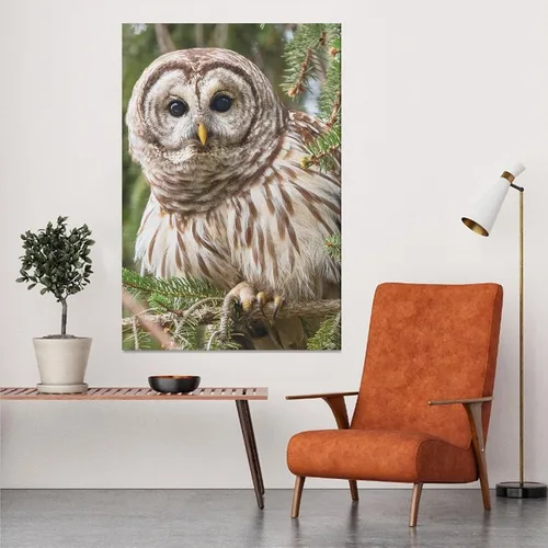 Miniatura 5 de Póster de lienzo con diseño de búho con diseño de pájaro con diseño de barras, decoración de dormitorio, paisaje deportivo, oficina, habitación