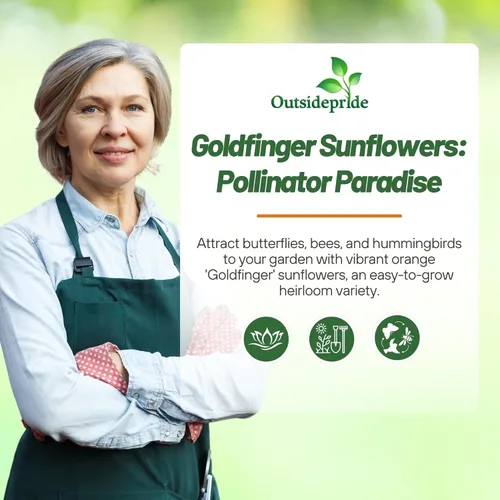 Miniatura 5 de Outsidepride Goldfinger - Semillas de girasol mexicano – 1000 piezas anuales, fáciles de cultivar, semillas de flor naranja Tithonia Speciosa