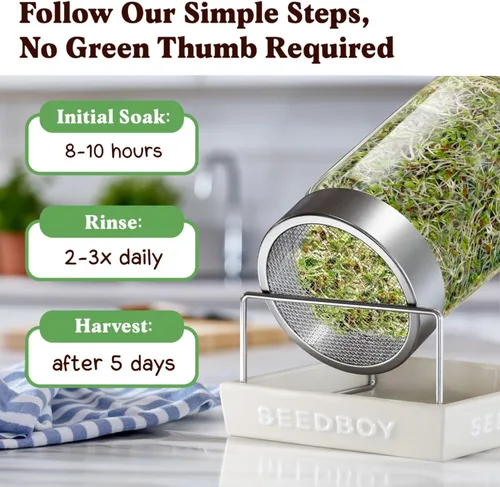 Miniatura 7 de Seedboy Semillas Germinativas Orgánicas Sin OMG, Refuerzo del Sistema Inmunológico - Mezcla de Microverdes Cultivados en EE.UU. con Brócoli, Rábano