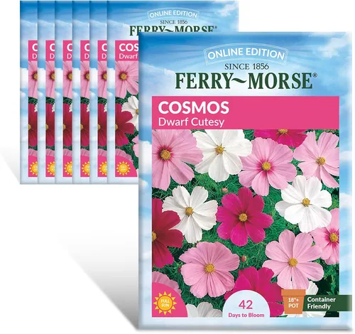 Miniatura 8 de Ferry-Morse Online Edition Tomato Supersweet 100 semillas híbridas – Alta tasa de germinación, sin OGM – Paquete de 8 Tomato Supersweet 100 Hybrid