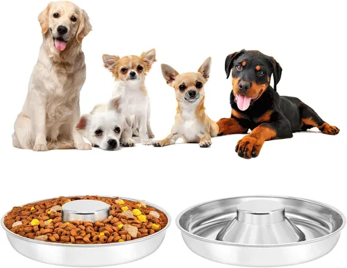 Paquete de 2 tazones de acero inoxidable para cachorros, cuencos de alimentación lenta para mascotas, tazón de agua, destete de alimentación para