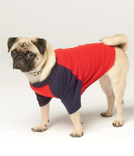 Miniatura 6 de Simplicity SS9532A - Kit de patrón de costura para ropa deportiva para mascotas, código S9532, XS-S-M-L-XL