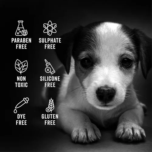 Miniatura 2 de Pride and Groom The Sensitive One Box Set – Champú y acondicionador para perros con mezcla natural de aceites esenciales e ingredientes para calmar
