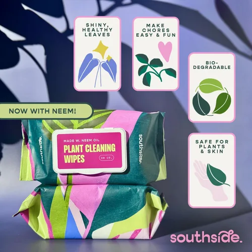 Miniatura 5 de Southside Plants - Toallitas de limpieza de plantas suaves a base de plantas para hojas brillantes y mejor fotosíntesis, sin perfume, extra grueso