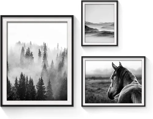 Miniatura 7 de Arte de pared enmarcado con vista rústica: 3 piezas de granja en blanco y negro, vaquero brumoso, granero, fotografía, moderno, molino de viento