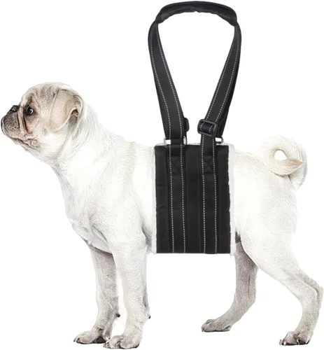 Arnés de elevación ajustable para perro, arnés portátil para patas traseras para perros mayores, lesionados, discapacitados después de una cirugía