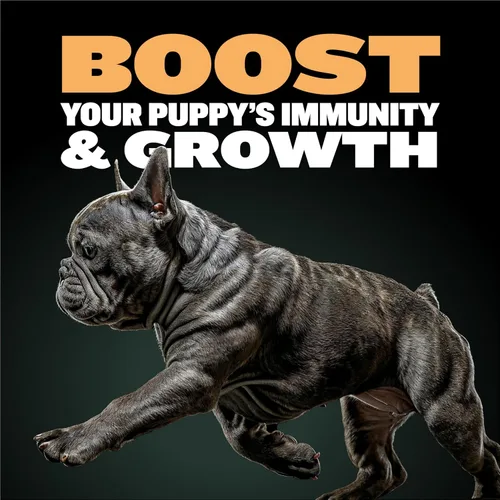 Miniatura 2 de Bully Max Wet Puppy Food - Alimento suave para perros con alto contenido de proteínas, deshidratado y fresco al instante, con pollo, crecimiento