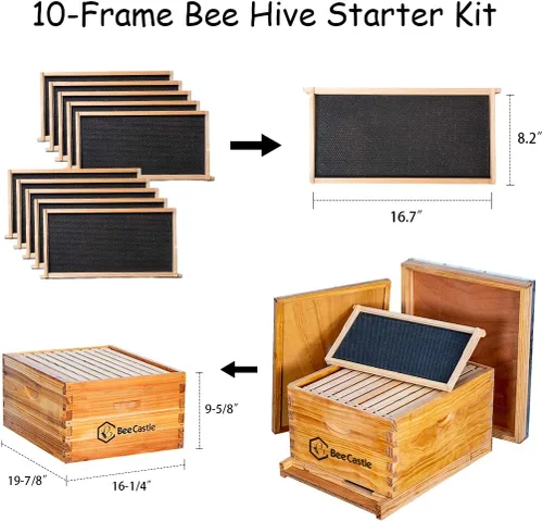 Miniatura 3 de BeeCastle Kit de iniciación de 10 marcos para colmenas y suministros de abeja, kit de colmena sumergido en cera de abejas 100%, suministros