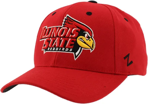 Miniatura 13 de ZHATS NCAA Gorra Snapback con Licencia Oficial de la NCAA para Adultos Unisex, Color del Equipo Competidor