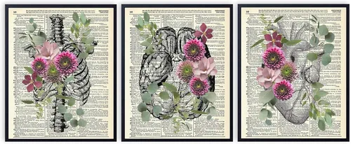 Anatomía con eucalipto y mariposas, impresión artística de diccionario vintage, arte de pared floral para decoración del hogar, póster de impresión