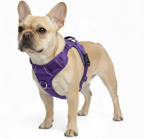 Miniatura 9 de Arnés sin tirones para perro, con 2 clips para correa, chaleco Oxford reflectante ajustable para mascotas con asa de fácil control para perros Negro