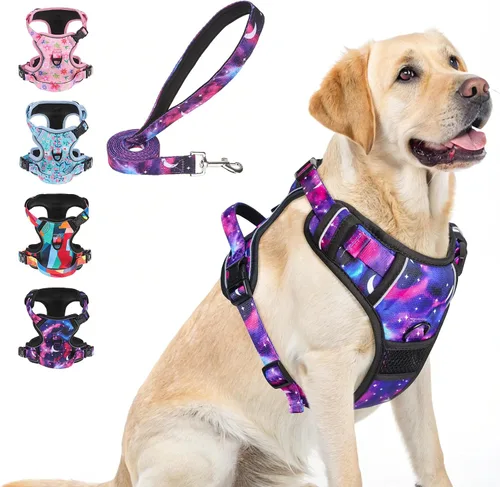 Miniatura 26 de BEAUTYZOO Arnés para perro sin tirones pequeño, juego de arnés y correa ajustable para perro - Fácil de usar con 3 hebillas/mango de control, arnés