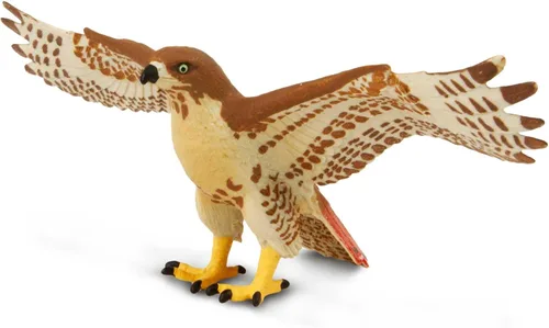 Safari Ltd. Figura de halcón de cola roja, figura detallada de plástico de 5.75 pulgadas con envergadura, divertido juguete educativo para niños,