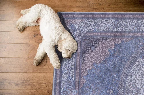 Miniatura 68 de GLN Rugs Traditional Collection - Alfombra de felpilla lavable a máquina, tradicional lavable, antideslizante, alfombra de felpilla de pelo corto