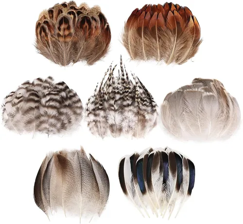 Miniatura 8 de MAOFENG 20 plumas naturales de faisán, 5 estilos de 5 a 9 pulgadas, 5.1-9.1 in para manualidades, boda, hogar, fiesta, sombrero, arreglos florales