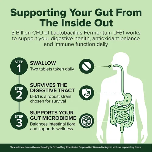 Miniatura 7 de Suplemento de probióticos Lactobacillus Fermentum 240 tabletas 3 mil millones de CFU de probióticos para hombres y mujeres, apoya la digestión