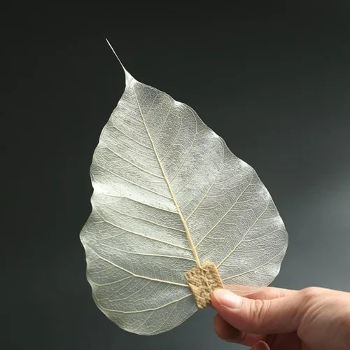 Miniatura 8 de Accesorios de café Infusor de té en forma de hoja Colador de té Colador de acero inoxidable verde