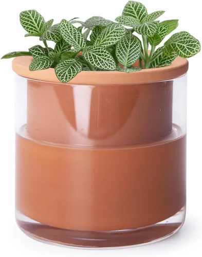 Miniatura 16 de Maceta auto-regante Phoenix Vine de 6 pulgadas, diseño en terracota blanca para plantas, maceta cilíndrica de terracota interior con jarrón de Blanco