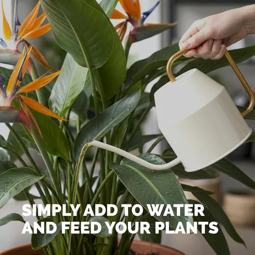 Miniatura 5 de Bird of Paradise Fertilizer - Alimento líquido para plantas para hojas tropicales más grandes, raíces más fuertes y crecimiento vertical saludable