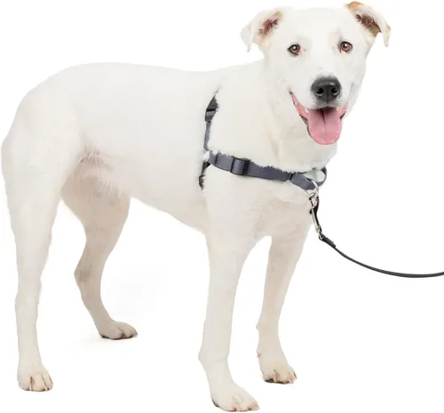 Miniatura 17 de PetSafe Arnés Deluxe Easy Walk – Arnés de pecho para perro de confianza del entrenador con diseño de bucle martingala transpirable – Ayuda a dejar