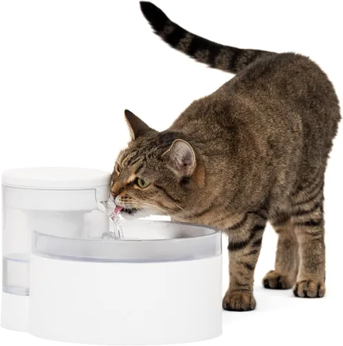 Miniatura 9 de PetSafe Outlast - Fuente para gatos, fomenta la hidratación saludable, diseño sin bomba con tecnología HydroSpin, cuenco de agua automático