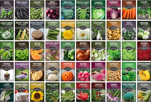 Miniatura 2 de Bóveda de semillas Homesteader - 50 paquetes de semillas autóctonas, frutas y hierbas sin OMG para plantar un jardín de la victoria - Cultive