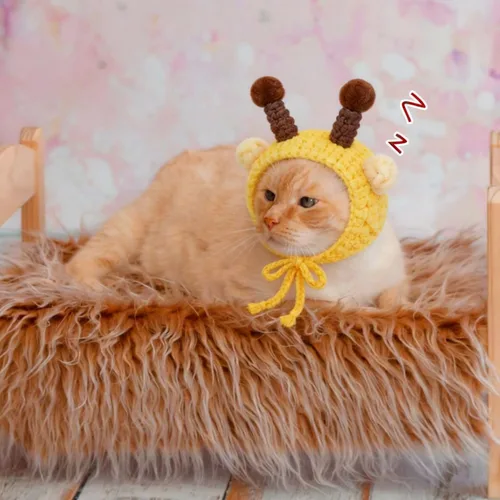 Miniatura 6 de Weewooday 5 sombreros de gato, disfraz de conejo con orejas, perros pequeños, gatito, cachorro, fiesta de Pascua, accesorio para la cabeza