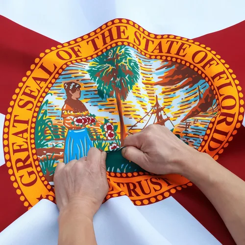 Miniatura 7 de Bandera Southeast State, Florida