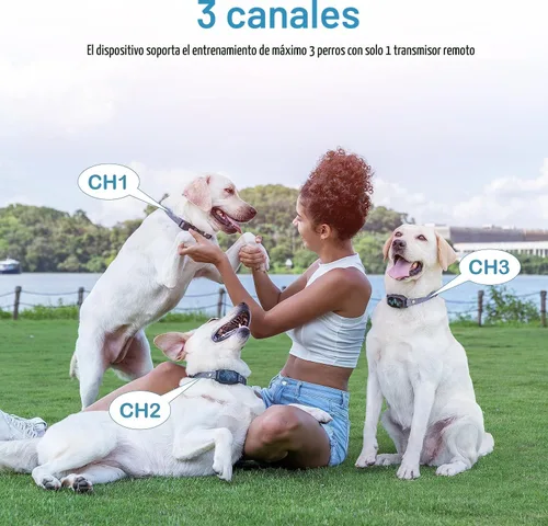 Miniatura 7 de Collar de entrenamiento para perros, collar de choque para perros con control remoto, 2500 pies y 4 modos de entrenamiento pitido, vibración, choque