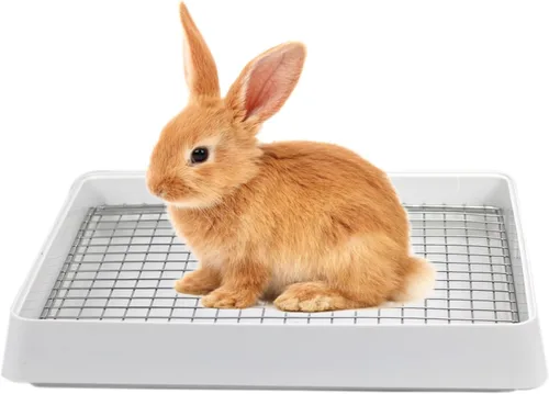 Miniatura 7 de PODOO Caja de arena para conejos, bandeja de entrenamiento para conejillos de indias y mascotas pequeñas, espaciosa bandeja de rejilla con entrada