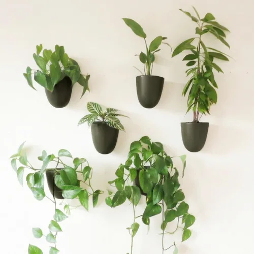 Miniatura 9 de Make Good PlantPod Luxe - Macetas de pared con riego automático (juego de 3, verde bosque), fáciles de regar e instalar, ligeras, diseña tu propio