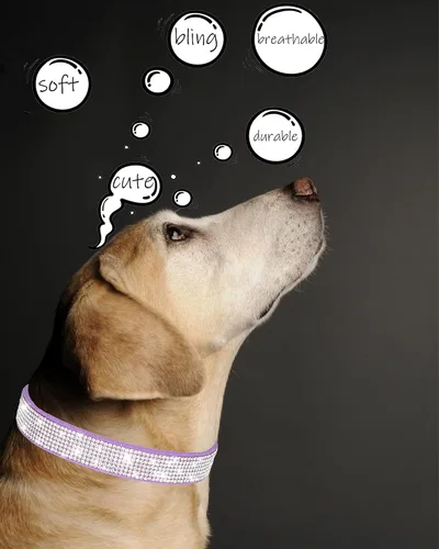 Miniatura 3 de Petank Collar de Perro para Perros Pequeños, Medianos y Grandes, Collar de Perro Pequeño para Perras, Collares de Perro Brillantes para Niñas