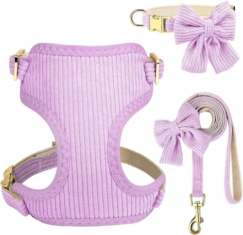 Miniatura 9 de Didog Lindo juego de arnés, collar y correa para perro pequeño con moño, arnés acolchado de malla suave y transpirable para cachorros, arnés rosa