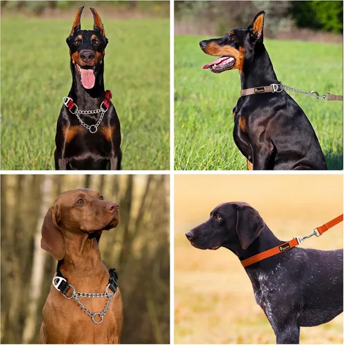 Miniatura 6 de Plutus Pet Martingale - Collar para perro con cadena de acero inoxidable y nailon reflectante, collar de entrenamiento ajustable sin tirones
